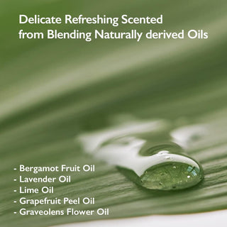 [Haruharu Wonder] Wonder Black Bamboo Mist 150ml