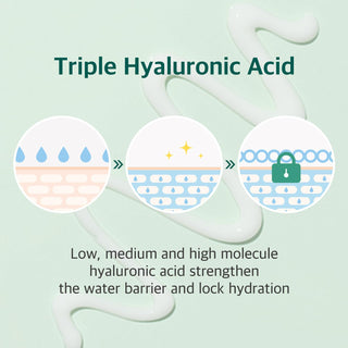 [Round Lab] Pine Calming Cica Cream 50ml
