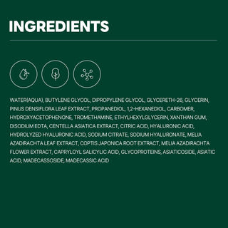 [Round Lab] Pine Calming Cica Ampule 30ml