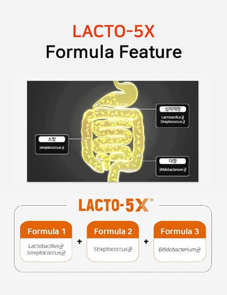 [ChongKunDang] LACTO-FIT ProBiotics Gold – 2g × 50 Sticks