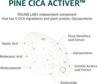 [Round Lab] Pine Calming Cica Pad 50pcs