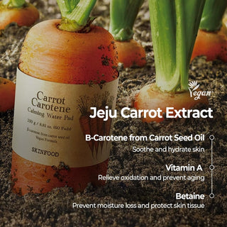 [Skinfood] Carrot Carotene Calming Water Pad (60 pads)