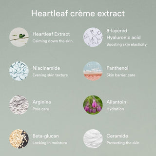 [Abib] Heartleaf Creme Calming Tube 75ml