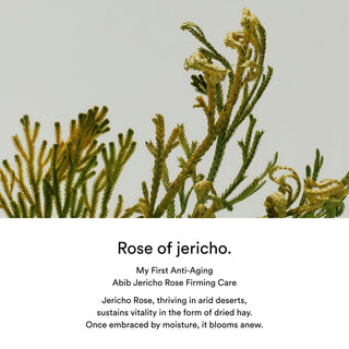 [Abib] Jericho Rose PHA Toner - Skin Booster 200ml