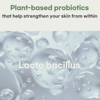 [benetus] Lacto Skin Toner 150ml