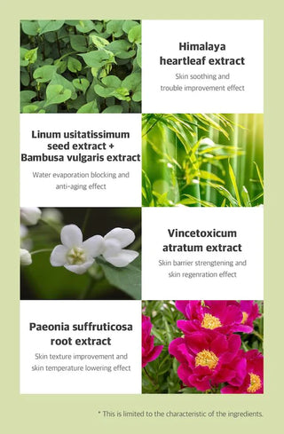 [Freemay] Green Heartleaf Ampoule Mask 10ea