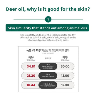 [Century Recipes] NOGYU Skin Rebirth Ampoule 40ml